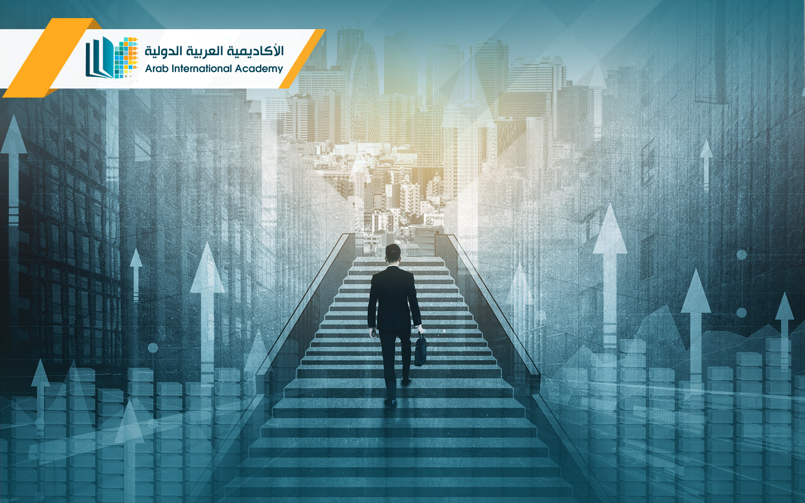 بكالوريوس ادارة اعمال