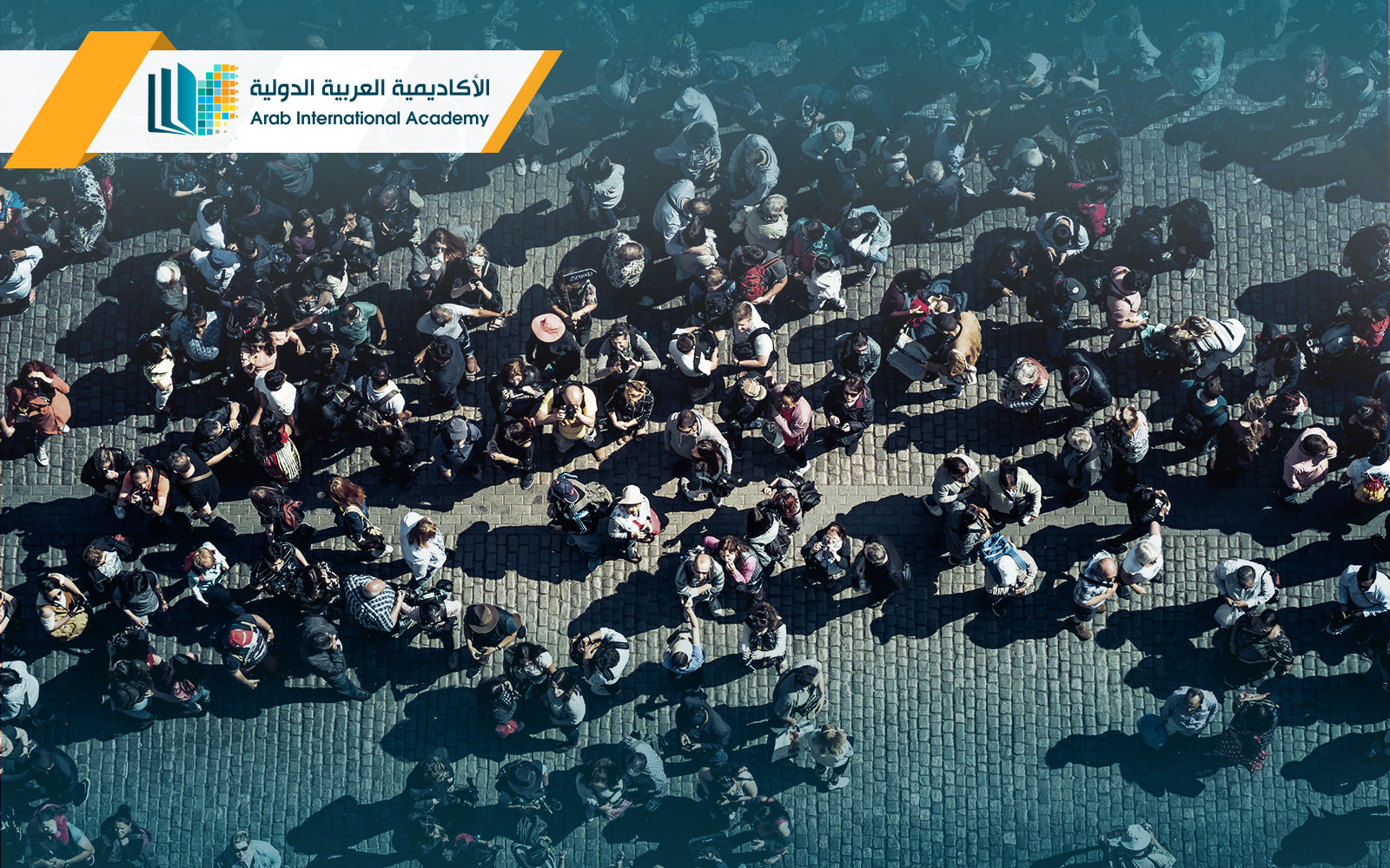 بكالوريوس علم الإجتماع