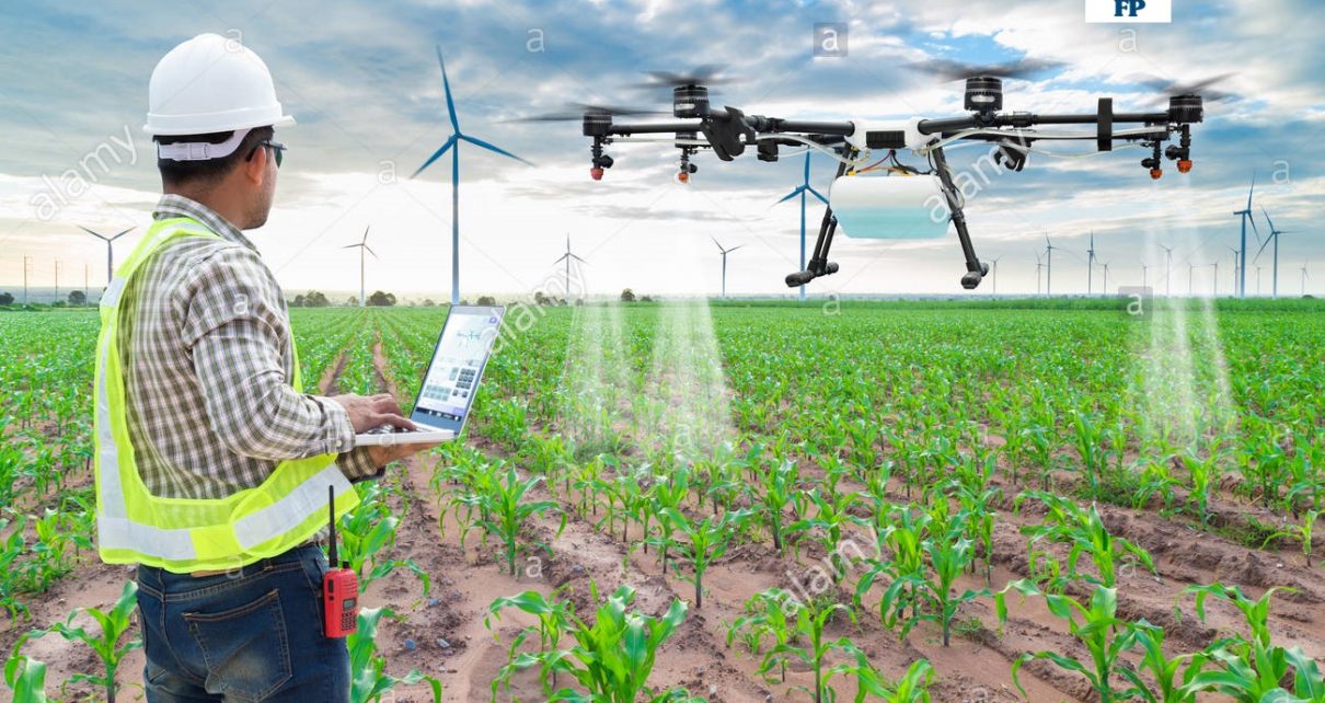 دكتوراه هندسة زراعية