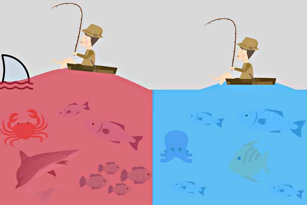 استراتيجية المحيط الأزرق